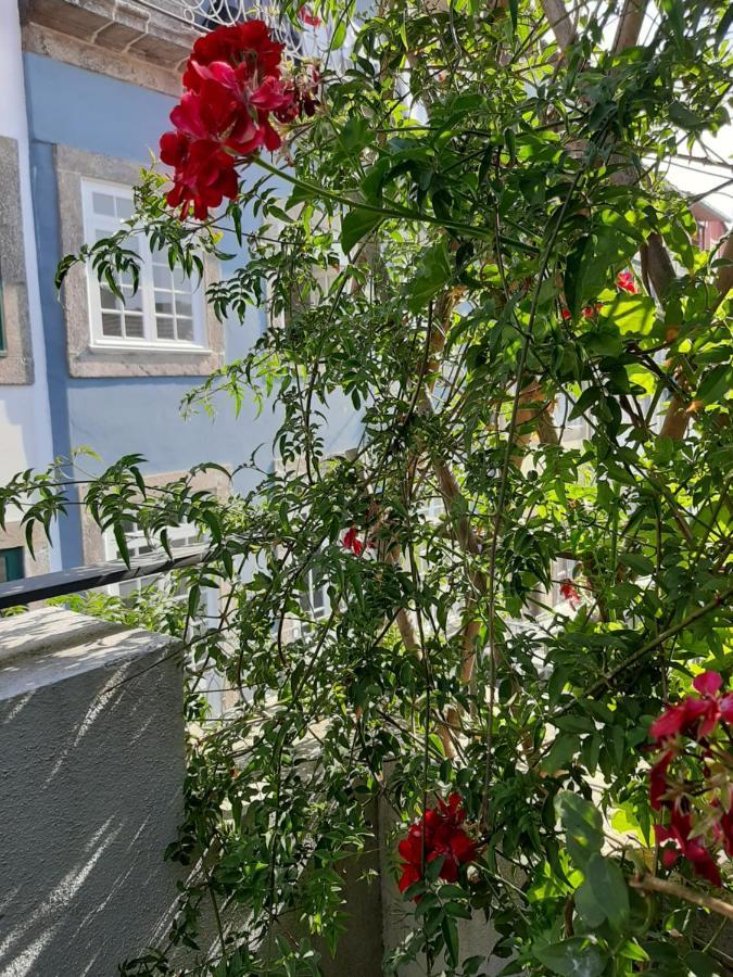 Amazing City Center Apartment Porto Villa Loios المظهر الخارجي الصورة